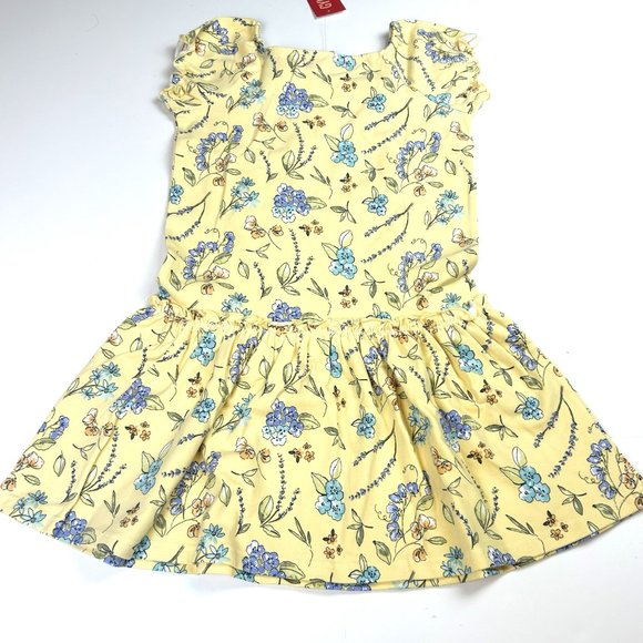 NWT Gymboree Girl Floral Drop Waist Knit Dress Size 3 - Picture 2 of 2